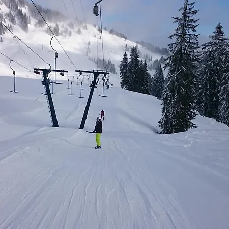 Διαμέρισμα Hauskneppler *